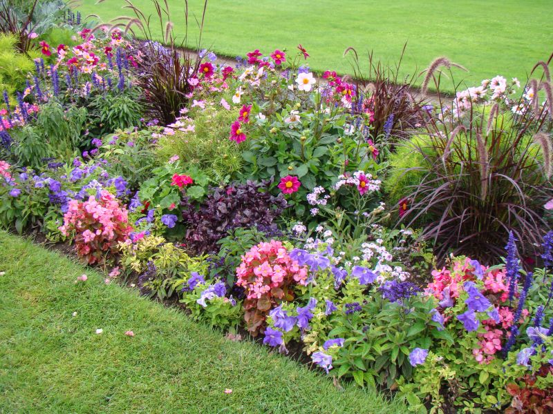 Lush Garden Beds