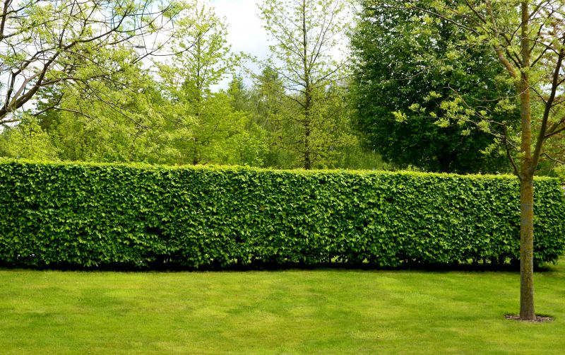 Privacy Hedges